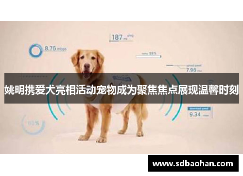 姚明携爱犬亮相活动宠物成为聚焦焦点展现温馨时刻